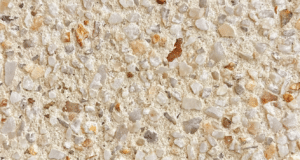 Coral Crème, Exposed